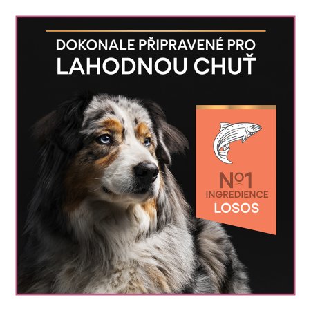 Pro Plan Medium & Large Adult 7+ Optiderma losos 3 kg