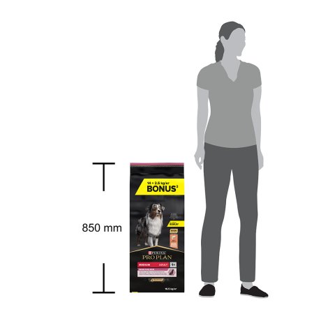 Pro Plan Medium Adult Sensitive Skin losos 14 + 2,5 kg