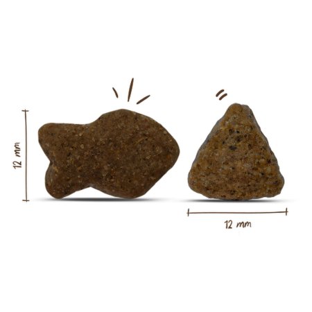 Bosch Adult Salmon & Potato 15 kg