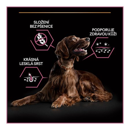 Pro Plan Large Adult Athletic losos 14 kg