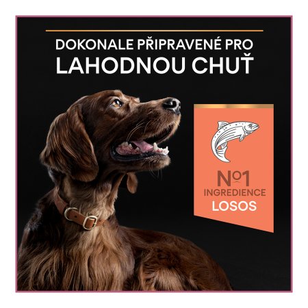 Pro Plan Large Adult Athletic losos 14 kg