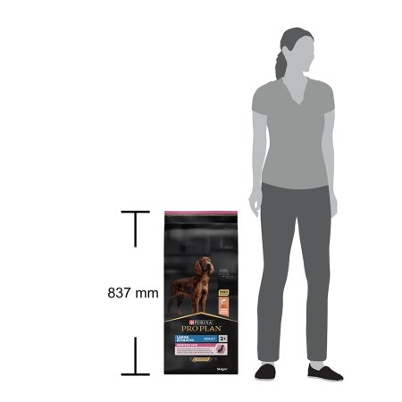 Pro Plan Large Adult Athletic losos 14 kg