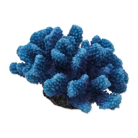Dekorácia AQUA EXCELLENT morský koral modrý