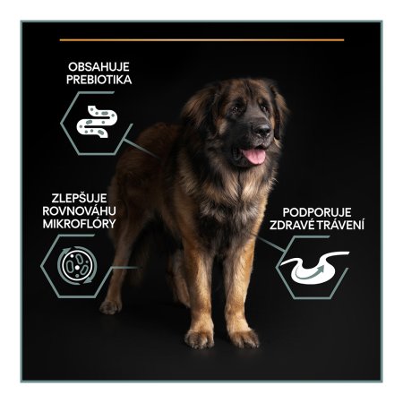 Pro Plan Large Adult Robust jahňacie 14 kg