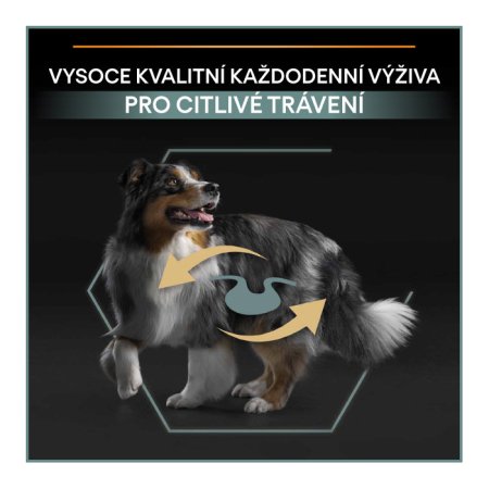 PRE PLAN Medium Adult Sensitive Digestion granule pre psov jahňacie 3 kg