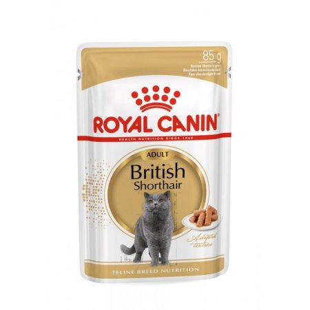 Royal Canin British Shorthair 12 x 85 g