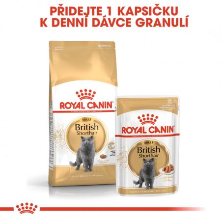 Royal Canin British Shorthair 12 x 85 g