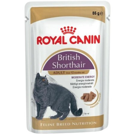 Royal Canin British Shorthair 12 x 85 g