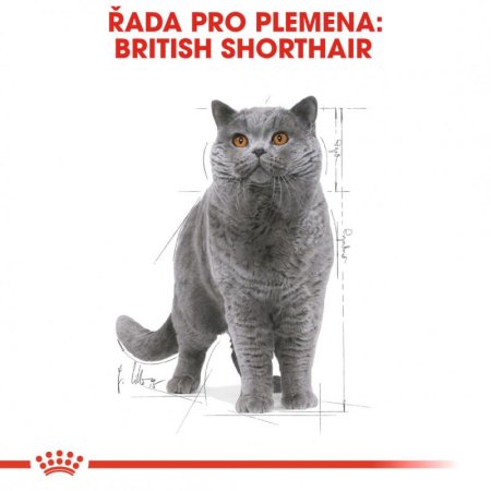 Royal Canin British Shorthair 12 x 85 g