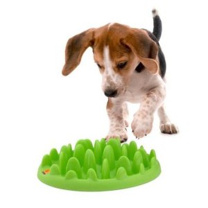 Miska Northmate interaktívna MINI zelená 29x22,5x7cm