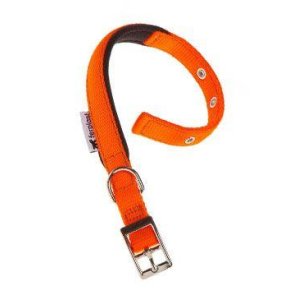 Obojok nylon DAYTONA C 35cmx15mm oranžový FP 1ks
