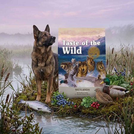Taste of the Wild Wetlands Canine 12,2kg