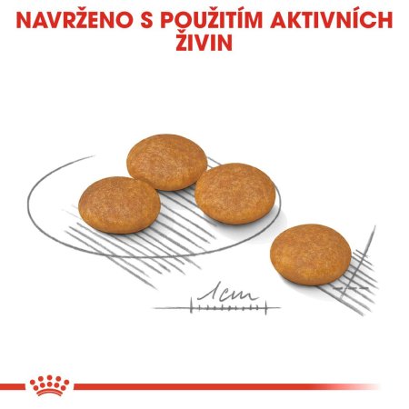 Royal Canin Mini Dermacomfort 8 kg