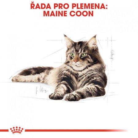 Royal Canin Maine Coon 12 x 85 g