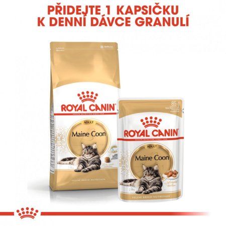 Royal Canin Maine Coon 12 x 85 g