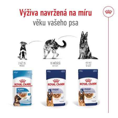 Royal Canin Maxi Adult 10 x 140 g