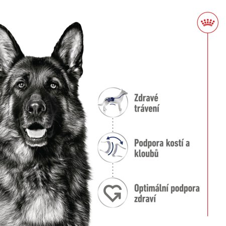 Royal Canin Maxi Adult 10 x 140 g