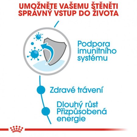 Royal Canin Maxi Puppy 10 x 140 g