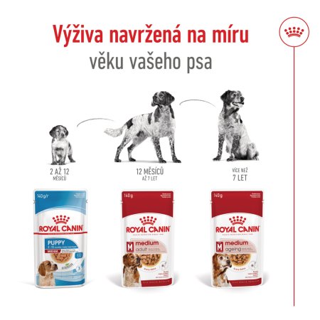 Royal Canin Medium Adult 10 x 140 g
