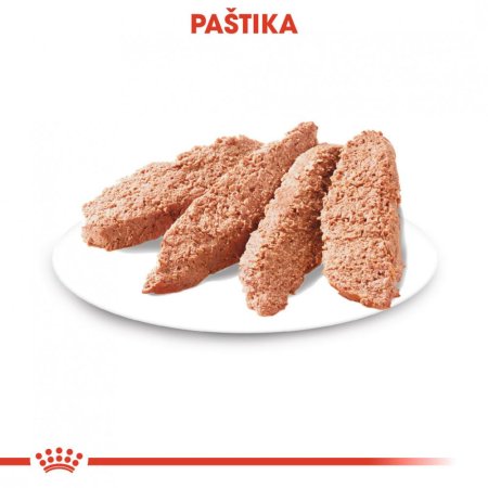 Royal Canin Exigent Dog Loaf 12 x 85 g