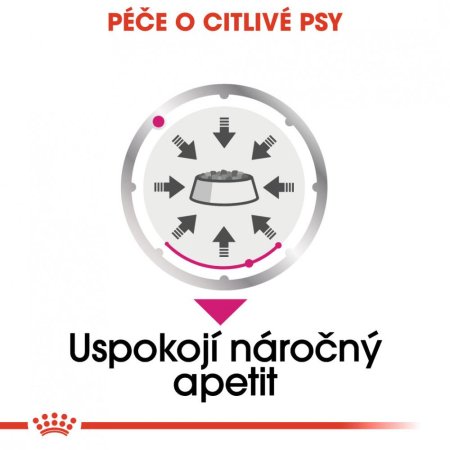 Royal Canin Exigent Dog Loaf 12 x 85 g