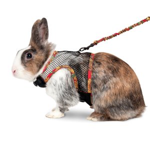 Karlie Postroj s vodítkom pre králiky veľkosť L