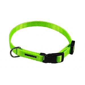 PROFIZOO Obojok popruh Neon (10mm x 18-26cm) zelený