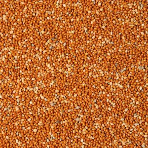 PROFIZOO Proso červené 15 kg