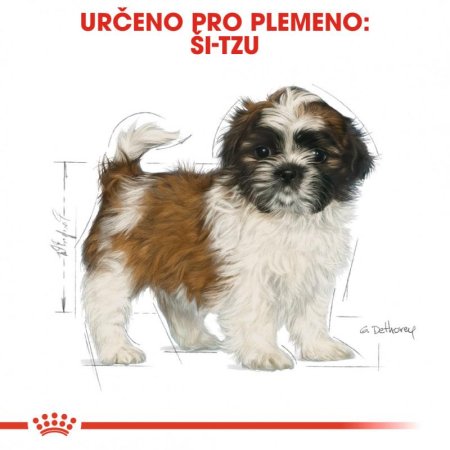 Royal Canin Shih Tzu Puppy 1,5 kg