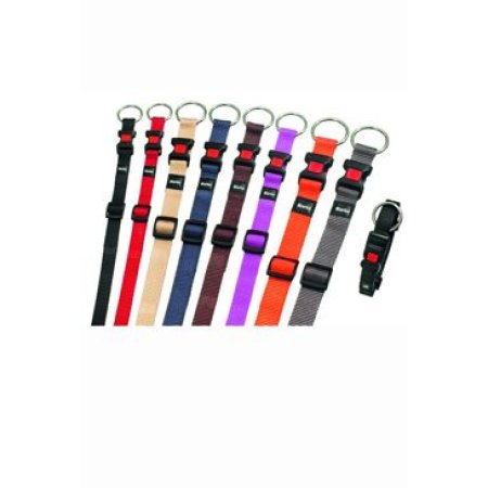 Obojok ASP ružový veľkosť M 40-55cm 20mm