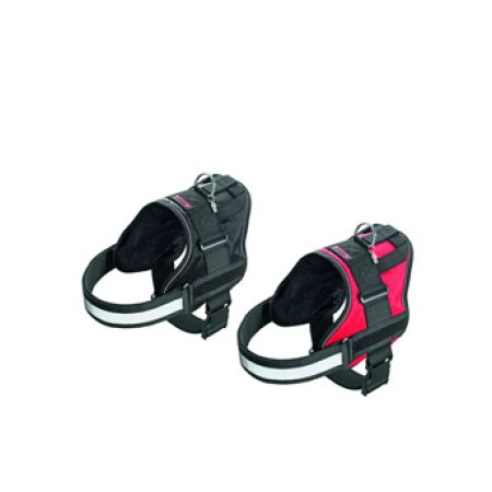 Postroj XTREME HARNESS teflón červený, 55-68cm