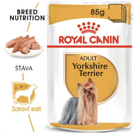 Royal Canin Yorkshire kapsičky 12 x 85 g