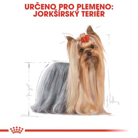 Royal Canin Yorkshire kapsičky 12 x 85 g