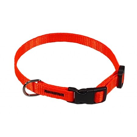 PROFIZOO Obojok popruh Neon (10mm x 18-26cm) oranžový