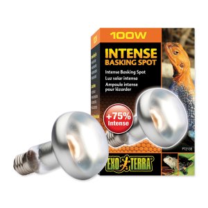 Žiarovka EXO TERRA Intense Basking Spot (100W)
