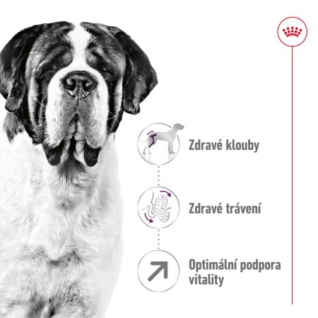 Royal Canin Giant Adult 15 kg