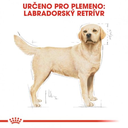 Royal Canin Labrador Retriever Adult 12 kg