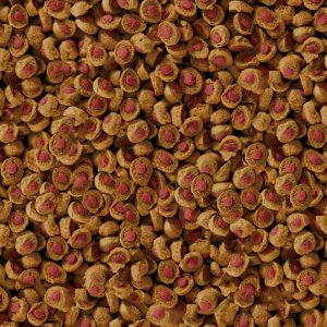 Sera Reptil Carnivor Nature 1000 ml / 310 g