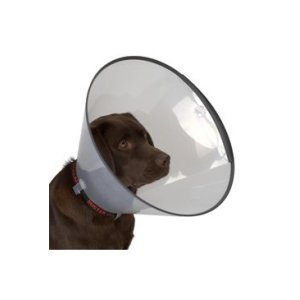 Golier ochranný BUSTER plastový Comfort Collar 30 cm