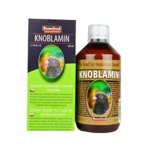 Knoblamín H pre holuby cesnakový olej 500ml