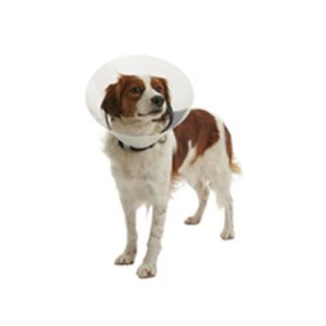 Golier ochranný BUSTER plastový Clic Collar 25cm
