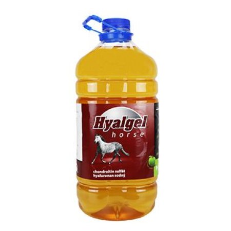 Hyalgel Horse jablko 5l