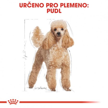 Royal Canin Pudel 1,5 kg