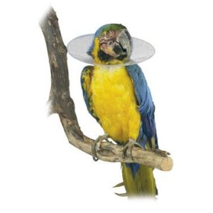 Golier ochranný plastový Bird Collar pre vtáky 14cm