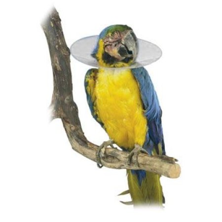 Golier ochranný plastový Bird Collar pre vtáky 14cm