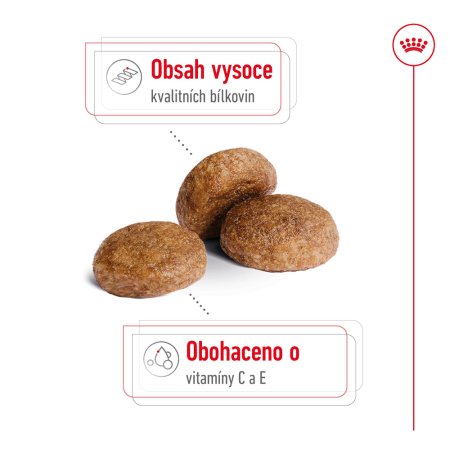 Royal Canin Medium Adult 7+ 4 kg