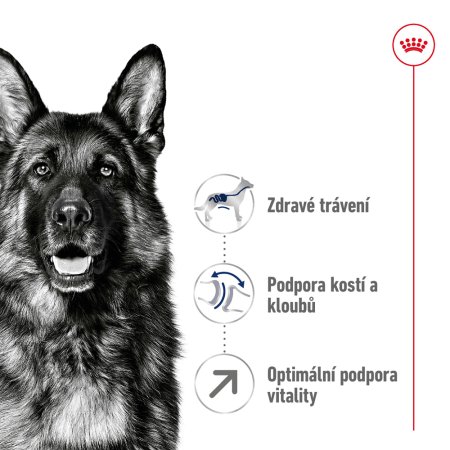 Royal Canin Maxi Adult 5+ 15 kg