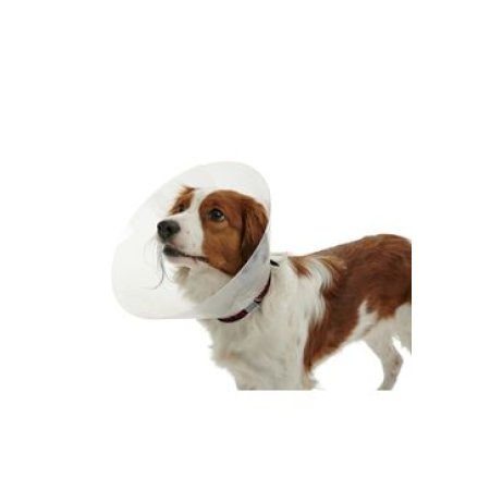 Golier ochranný BUSTER plastový Classic Collar 40cm