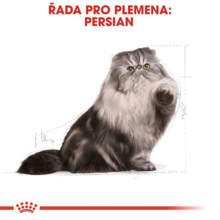 Royal Canin Persian 4 kg