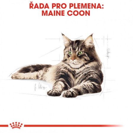 Royal Canin Maine Coon 10 kg